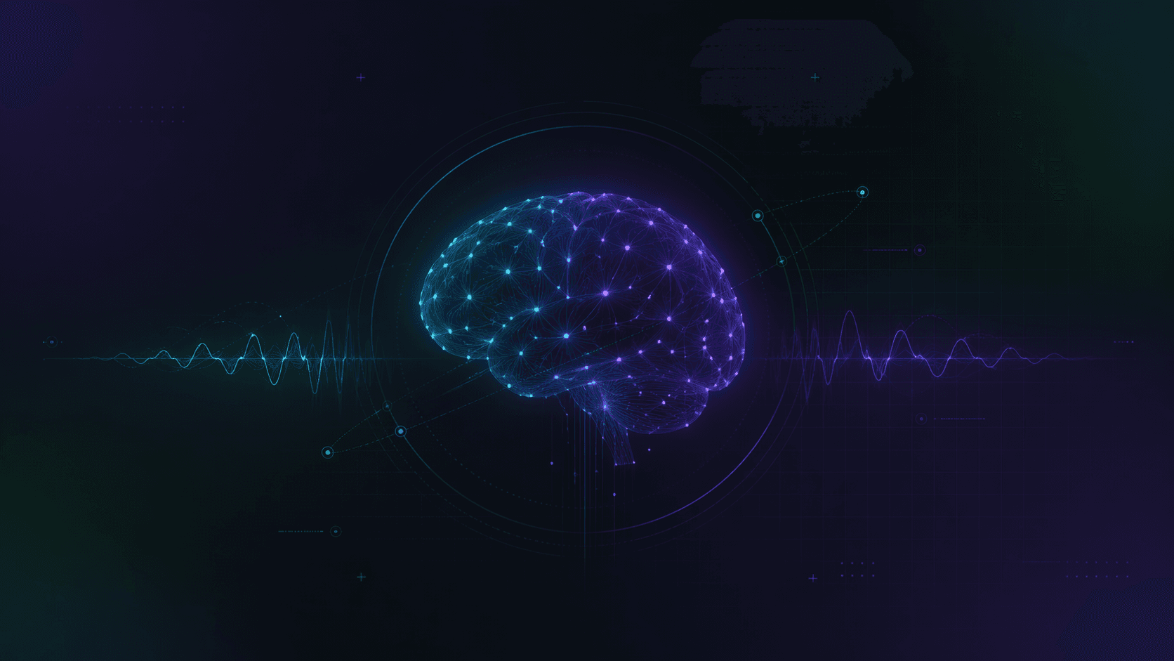 The NeuroCircuit newsletter
